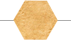 Responsabilité civile et pénale