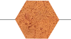 Solvabilité : Gouvernance et sous-traitance